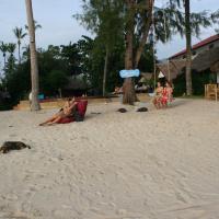 A part kóbor kutyával