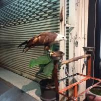 Ő csak úgy kint ült itt