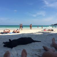 Lustálkodás Haad Rin Beachen