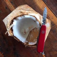 Indulás előtti kókuszozás