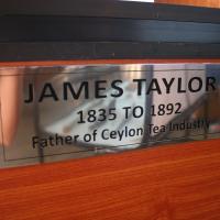 Ceylon Tea Museum