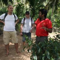 Handunugoda Tea Estate