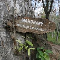Handunugoda Tea Estate
