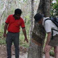 Handunugoda Tea Estate