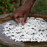 Handunugoda Tea Estate