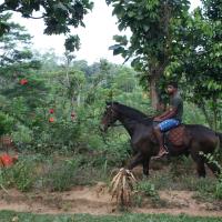 Handunugoda Tea Estate