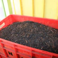 Handunugoda Tea Estate