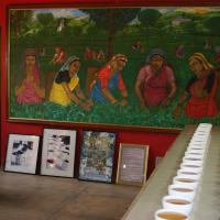 Handunugoda Tea Estate