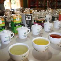 Handunugoda Tea Estate