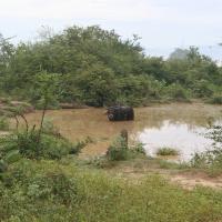 Udawalawe National Park