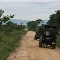 Udawalawe National Park