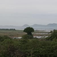 Udawalawe National Park