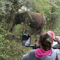 Udawalawe National Park