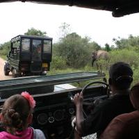 Udawalawe National Park