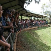 Elephant Transit Home