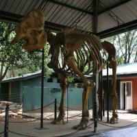 Udawalawe National Park