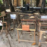 Mirissai teknősfarm