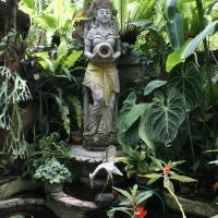 Bali szállás kertje