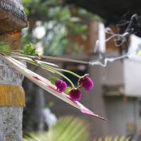 Felajánlás (a házunkon) az isteneknek