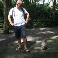 Sacred Monkey Forest Sanctuary