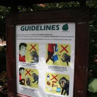 Sacred Monkey Forest Sanctuary