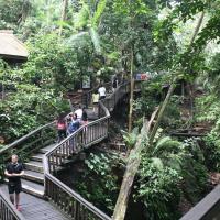 Sacred Monkey Forest Sanctuary