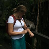 Sacred Monkey Forest Sanctuary