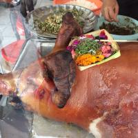 Babi Guling, malacsült